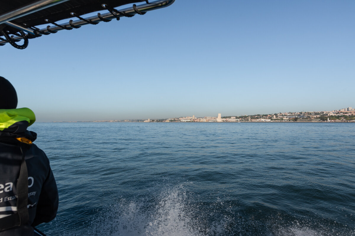 Observation des dauphins au large de Lisbonne
