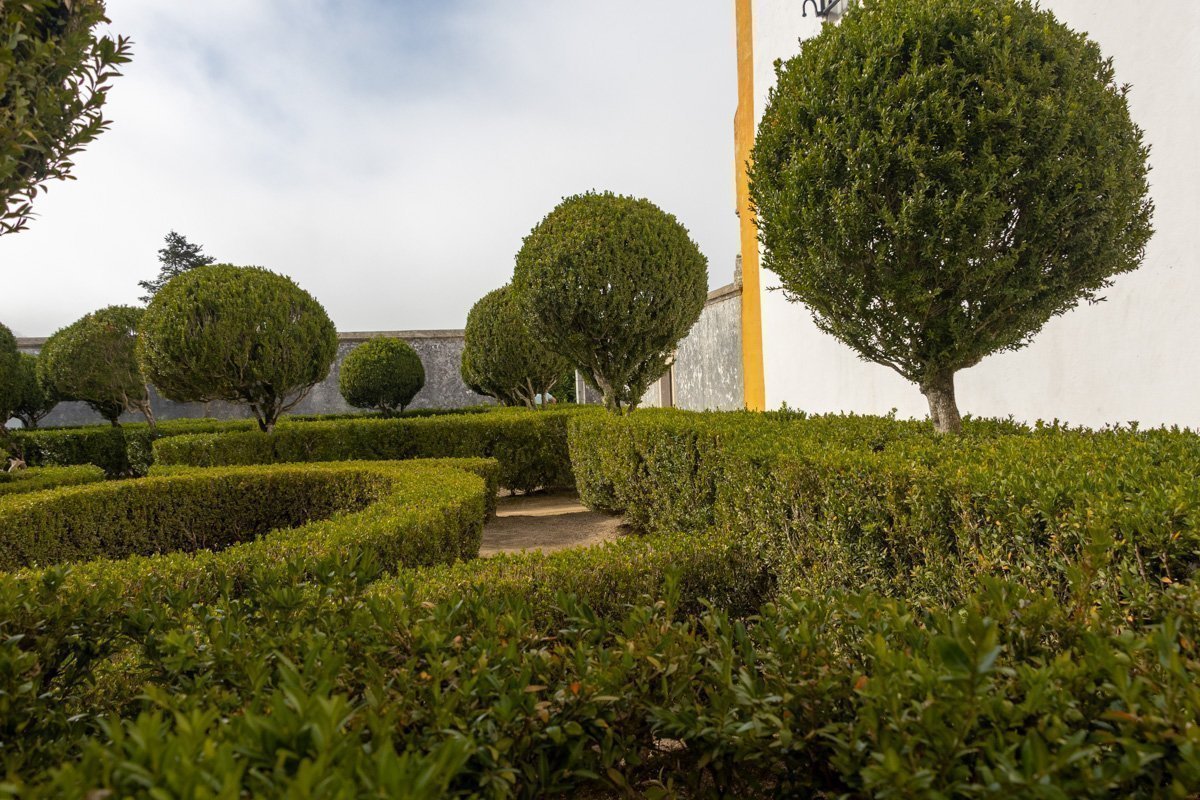 Petites haies et arbustes