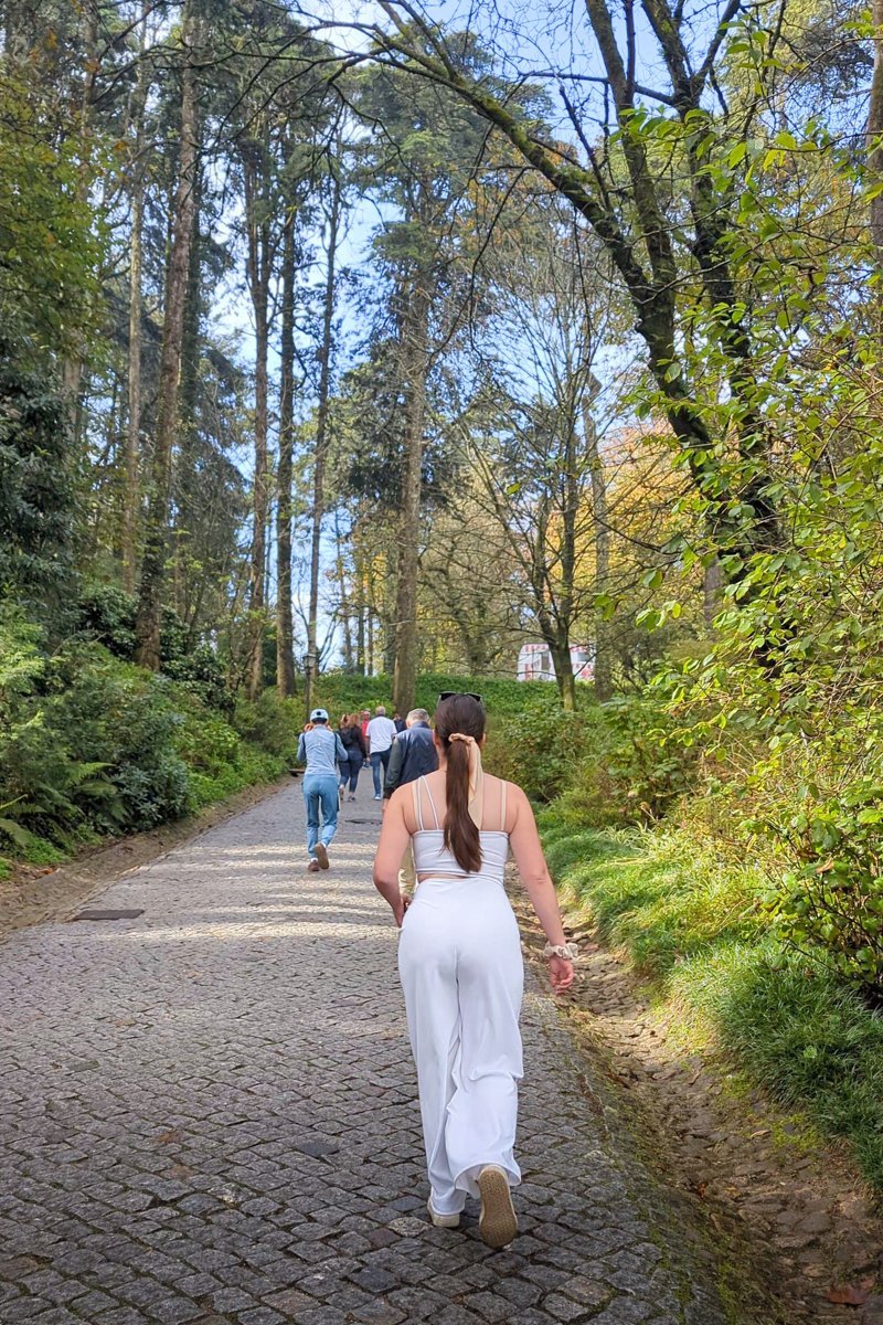 Dans un chemin